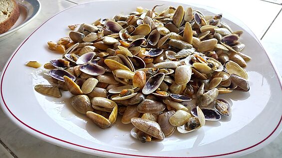 Revoltijo de coquinas al estilo de la Boqueria 